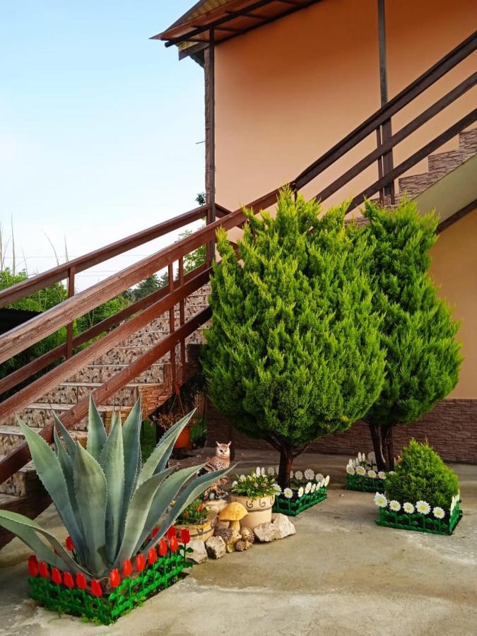 Изабелла Hotel Picunda Kültér fotó
